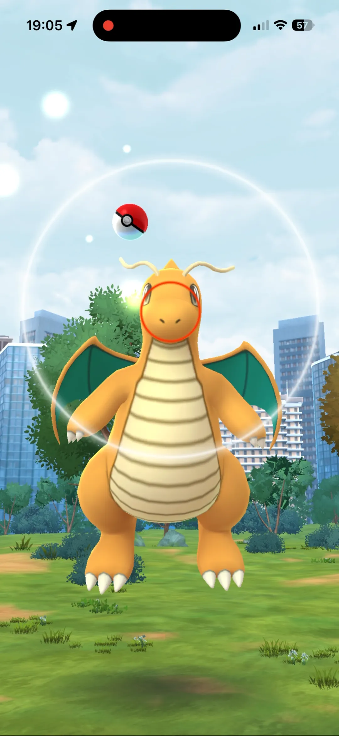 Throw circle shrunk to Excellent size over a Dragonite