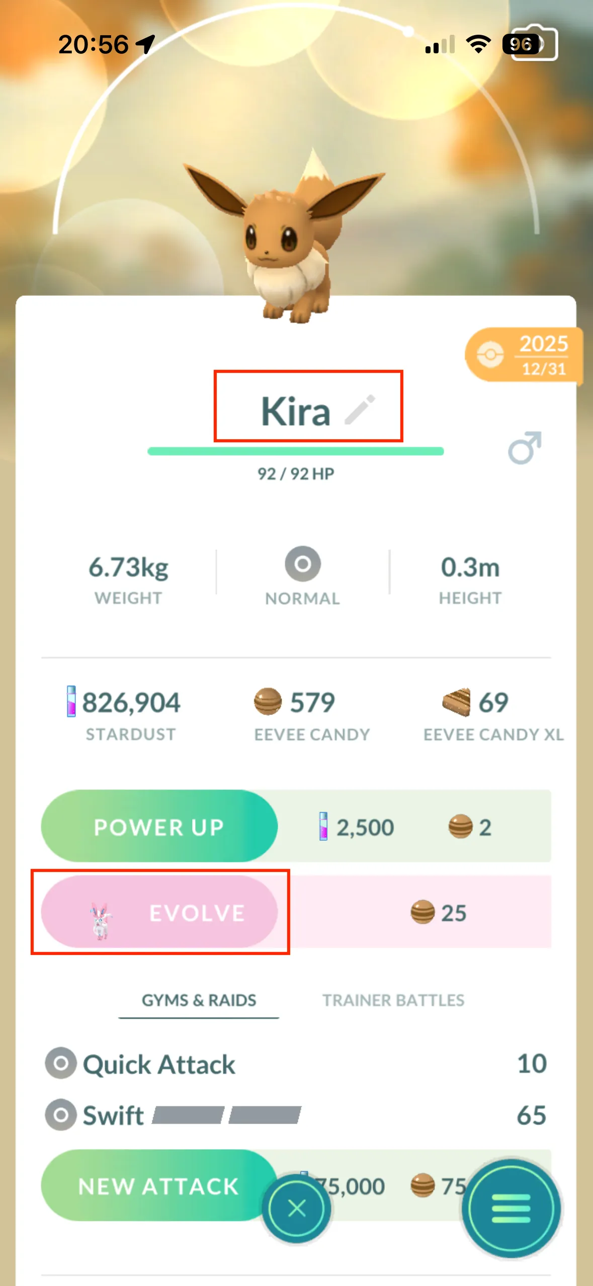 Renaming Eevee to nickname