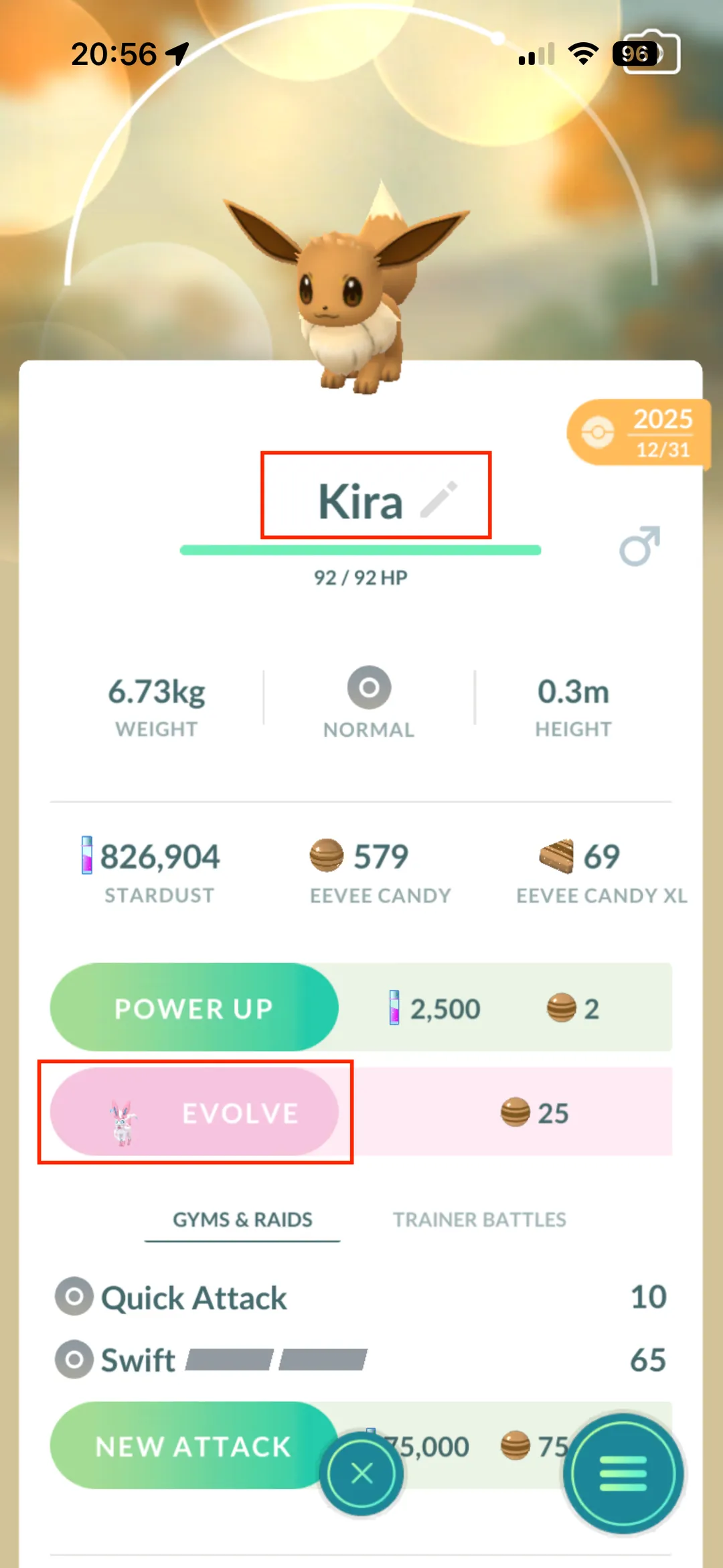 Renaming Eevee to nickname